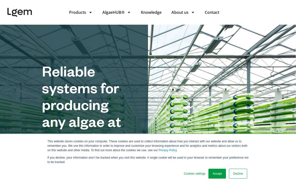 LGEM website preview
