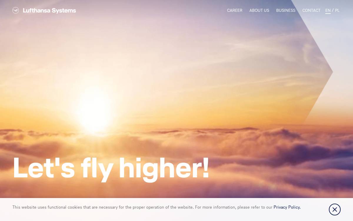 Lhsystems website preview