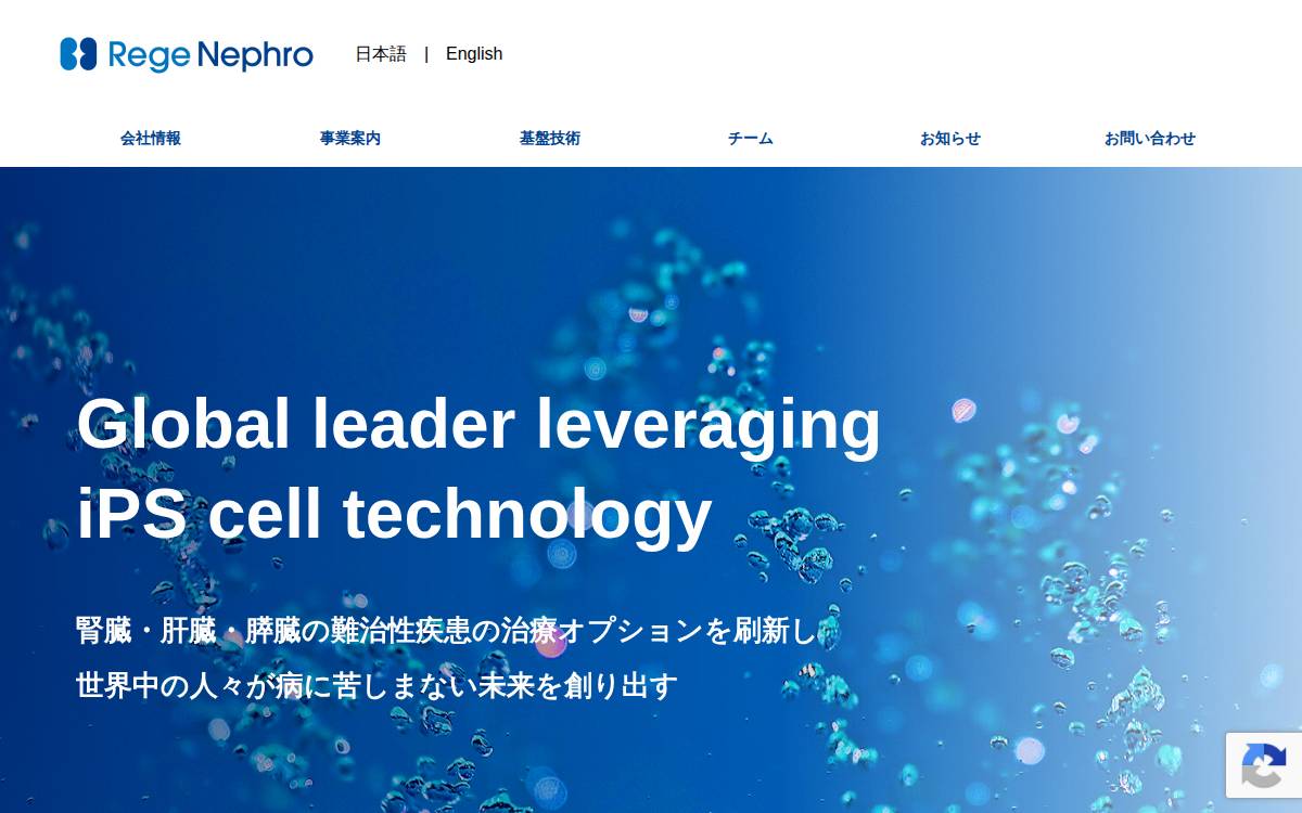 リジェネフロ website preview