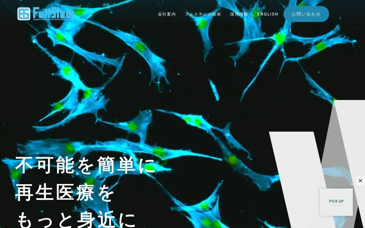 フルステム website preview