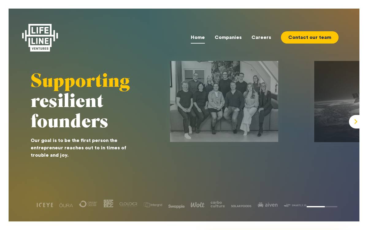 Lifeline Ventures website preview