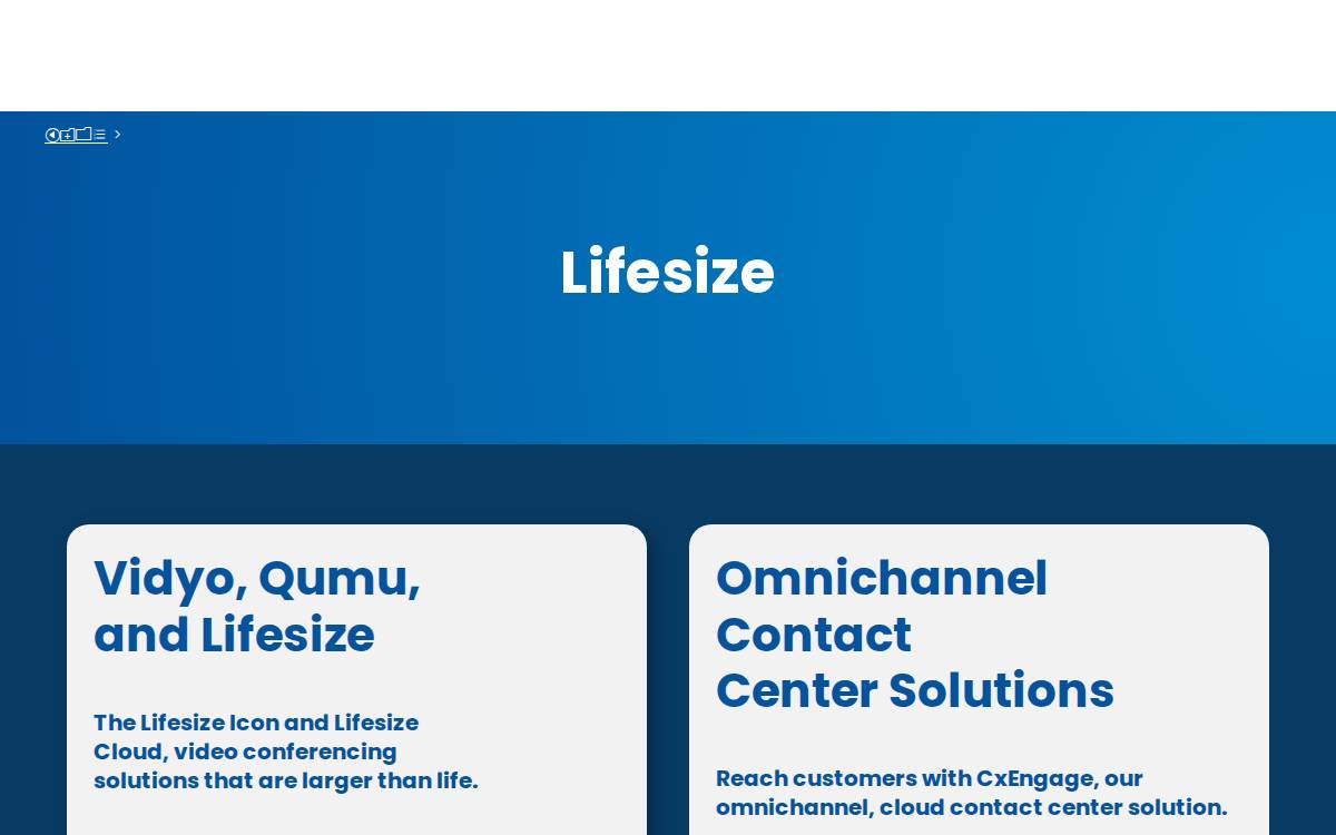 Lifesize website preview