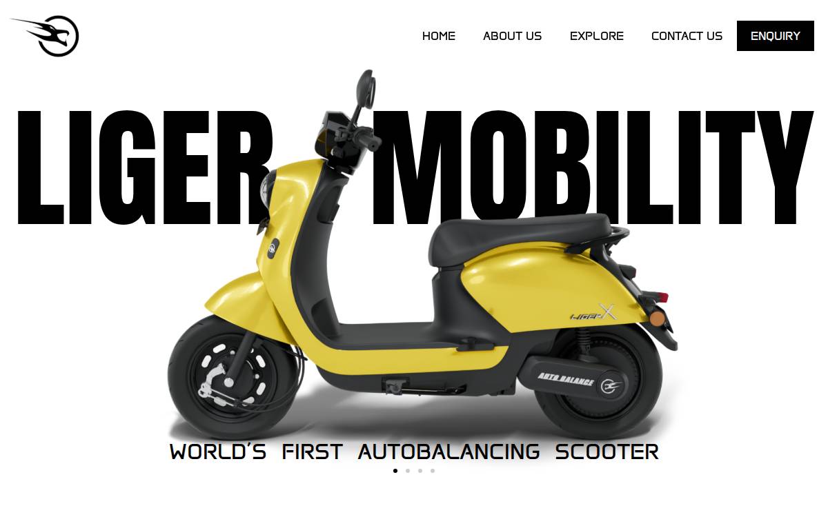 Ligermobility website preview