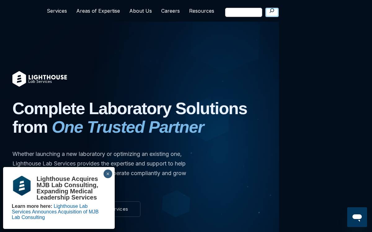 Lighthouse website preview