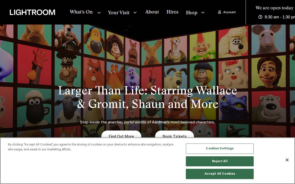 Lightroom website preview
