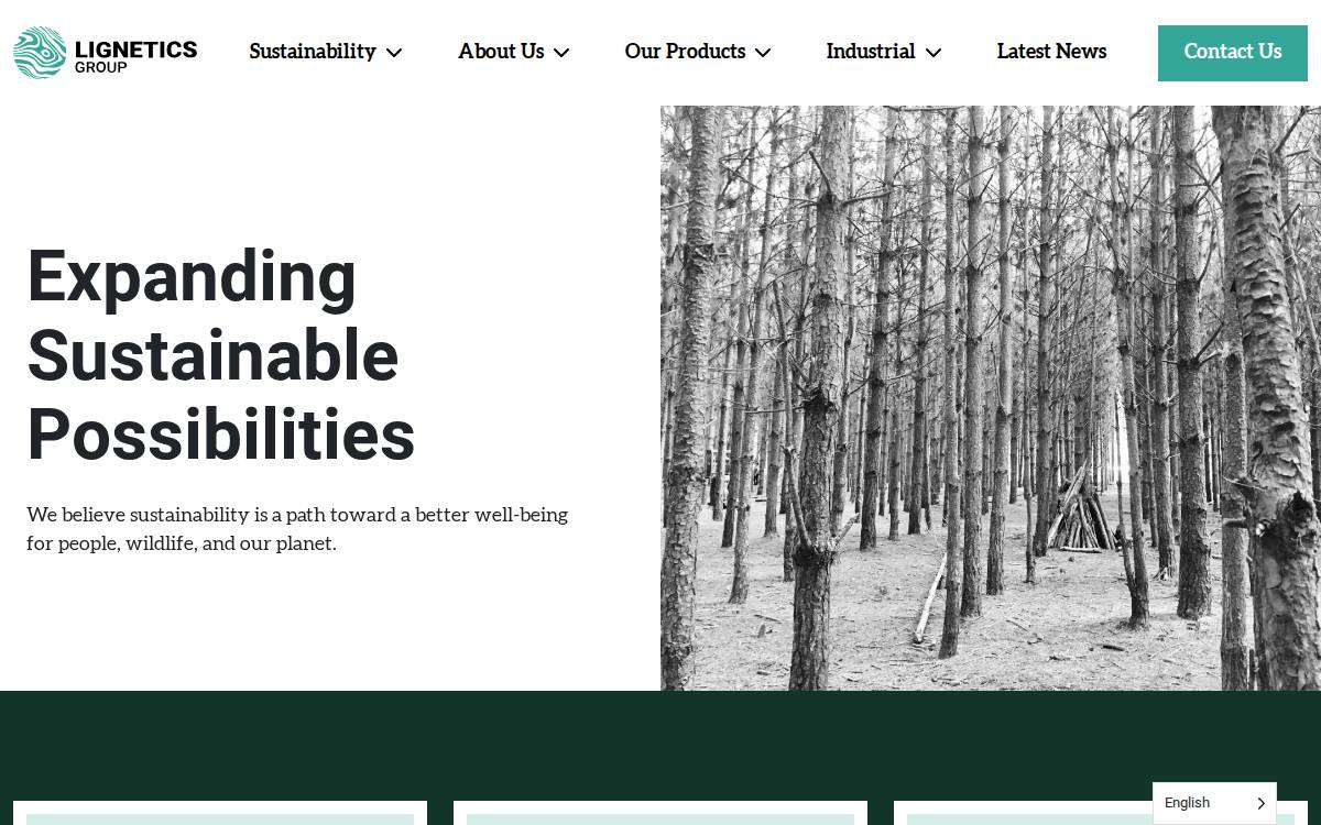 Lignetics website preview