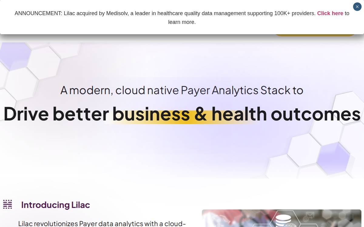Lilacsoftware website preview