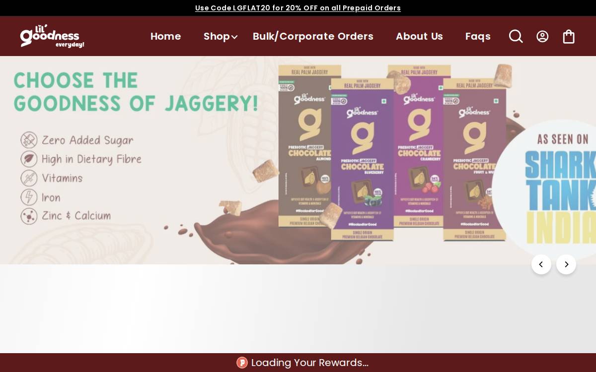 Lil' Goodness website preview