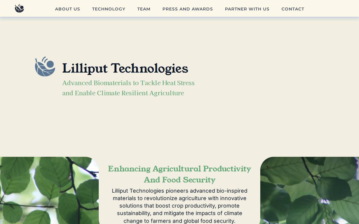 lilliput technologies website preview