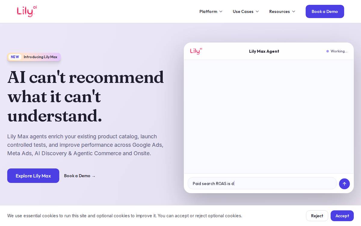 Lily AI website preview