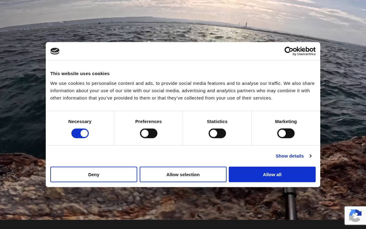 Limenet website preview