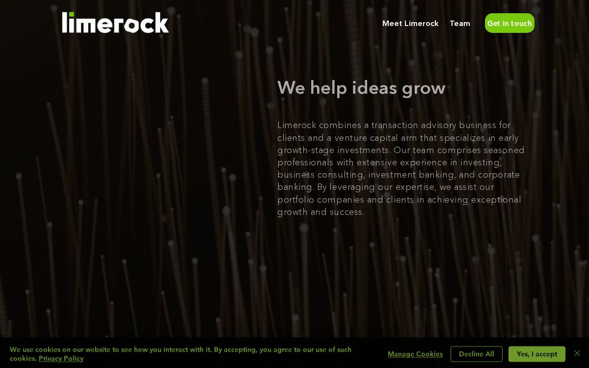 Limerock website preview