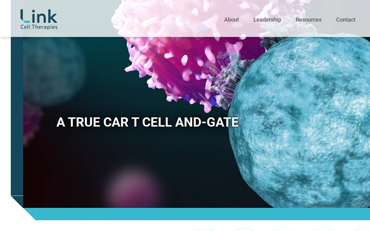 Linkcelltx website preview
