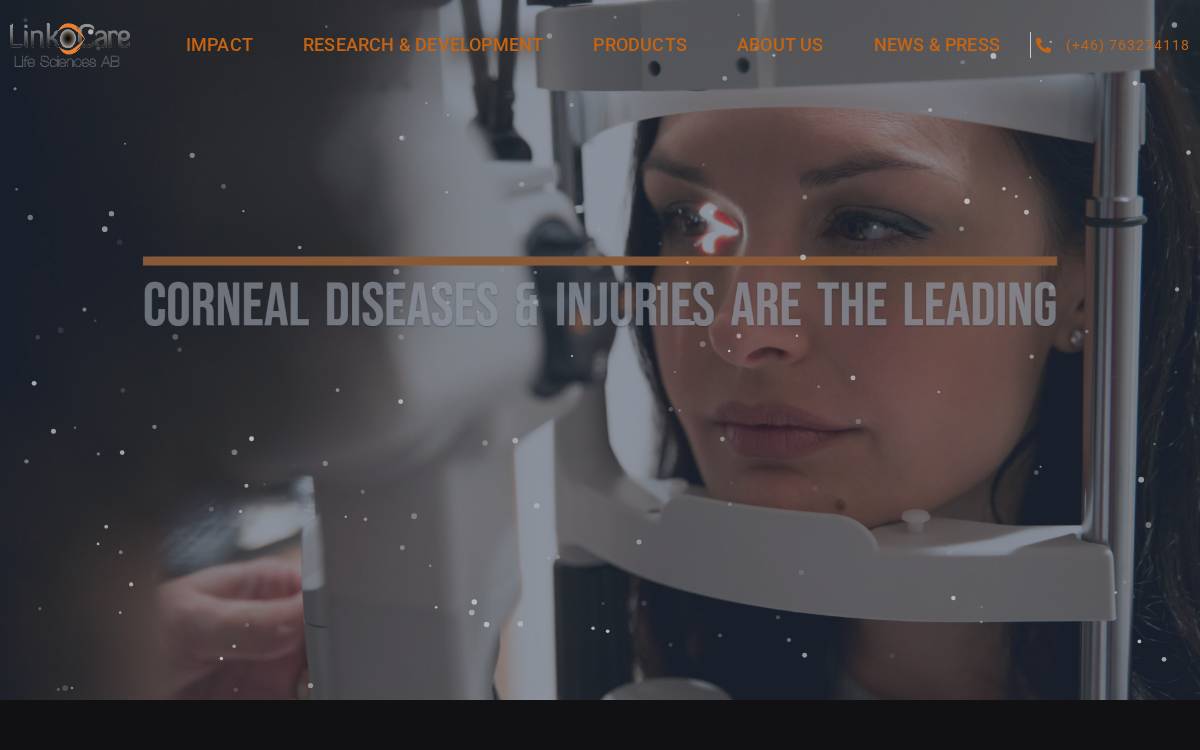 LinkoCare website preview