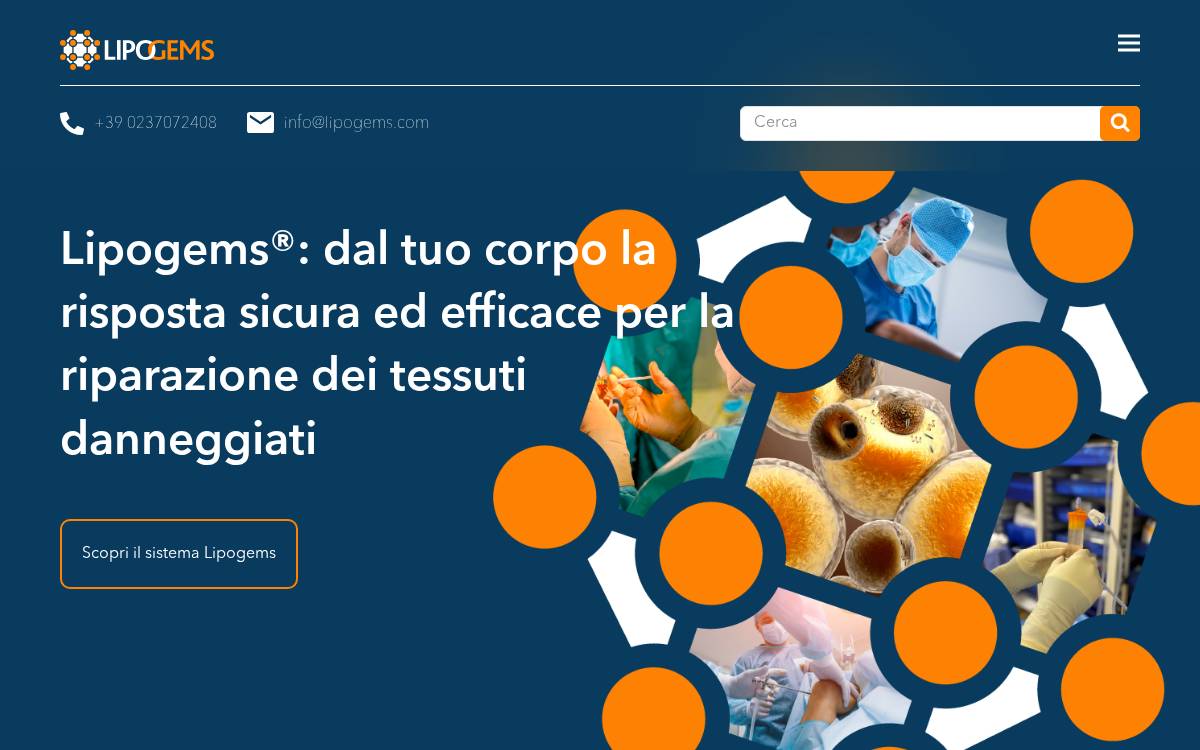 Lipogems website preview
