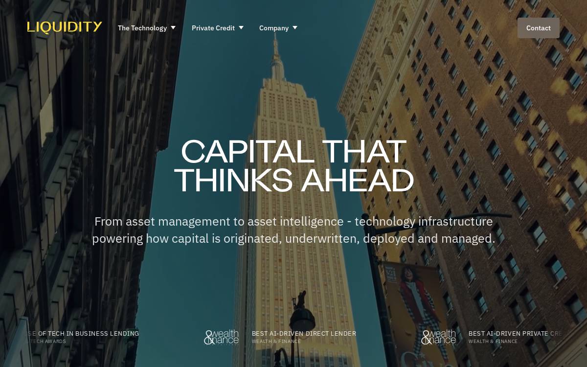 Liquidity website preview