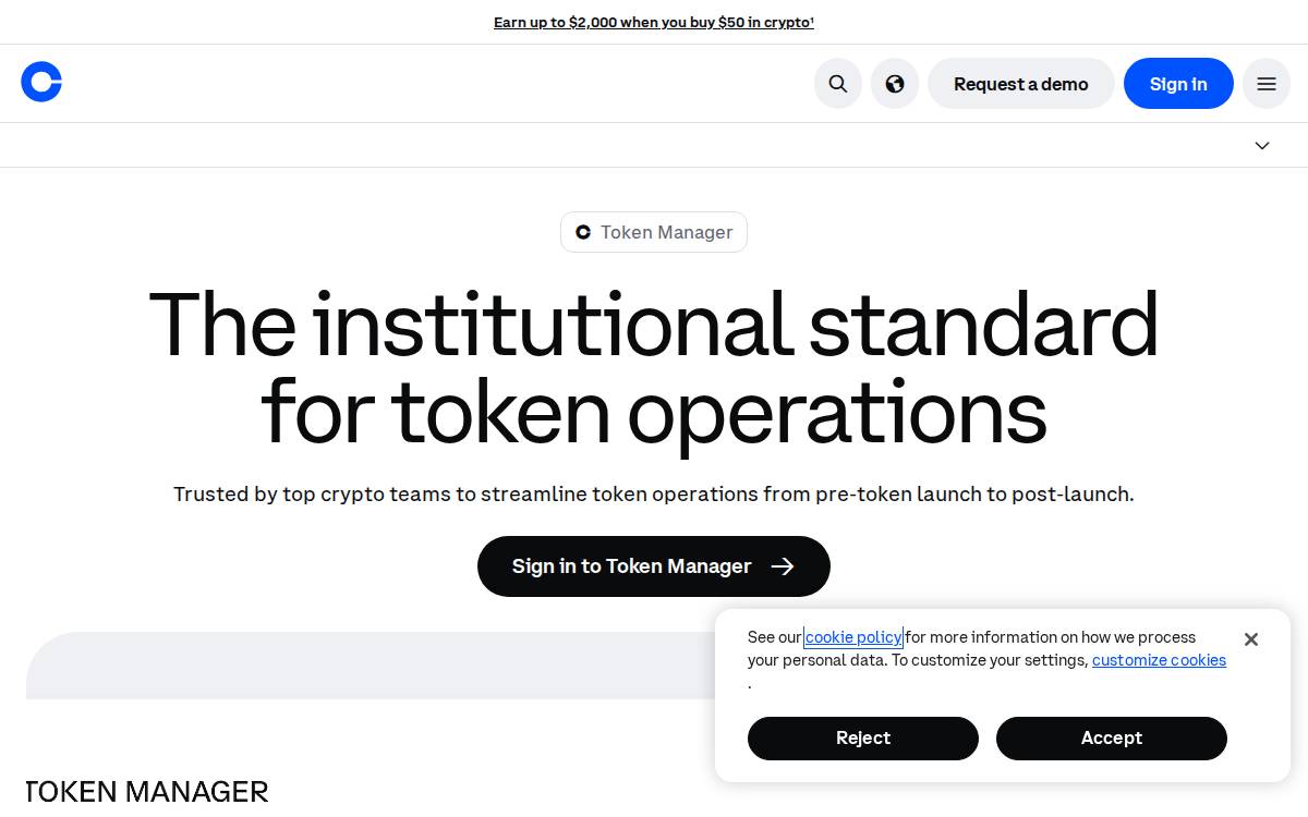 Liquifi website preview
