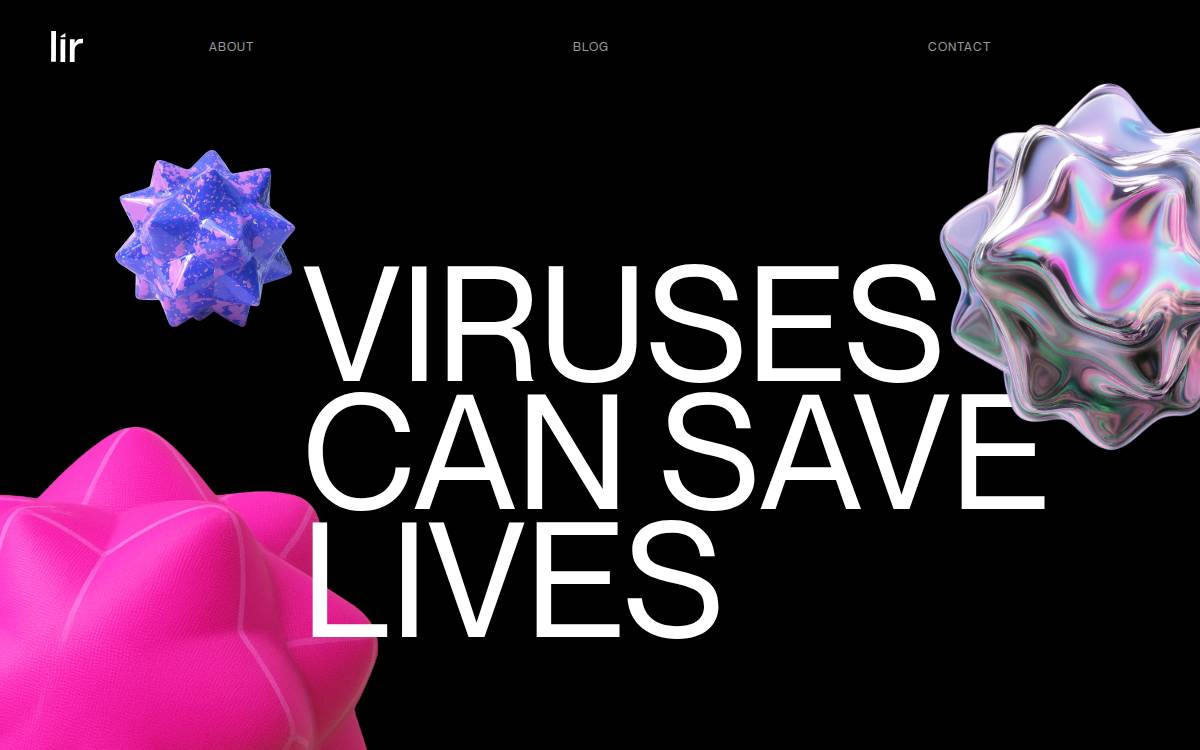 Lir website preview