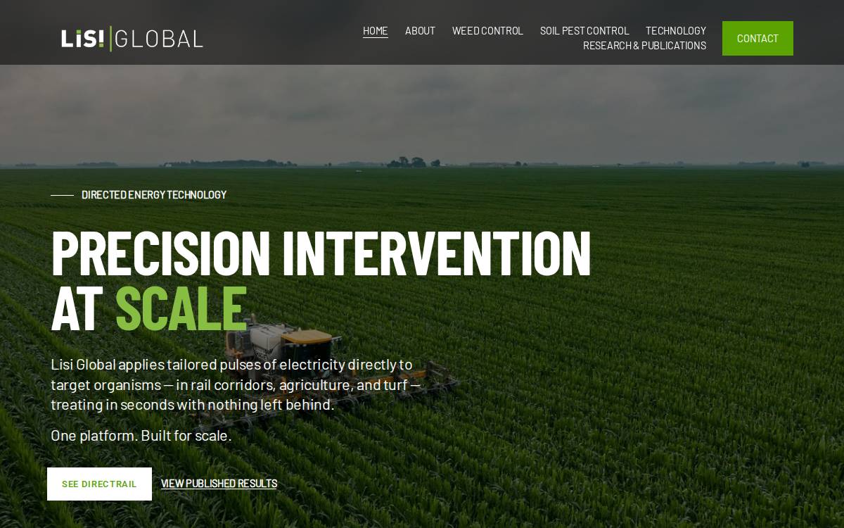 Lisi Global website preview