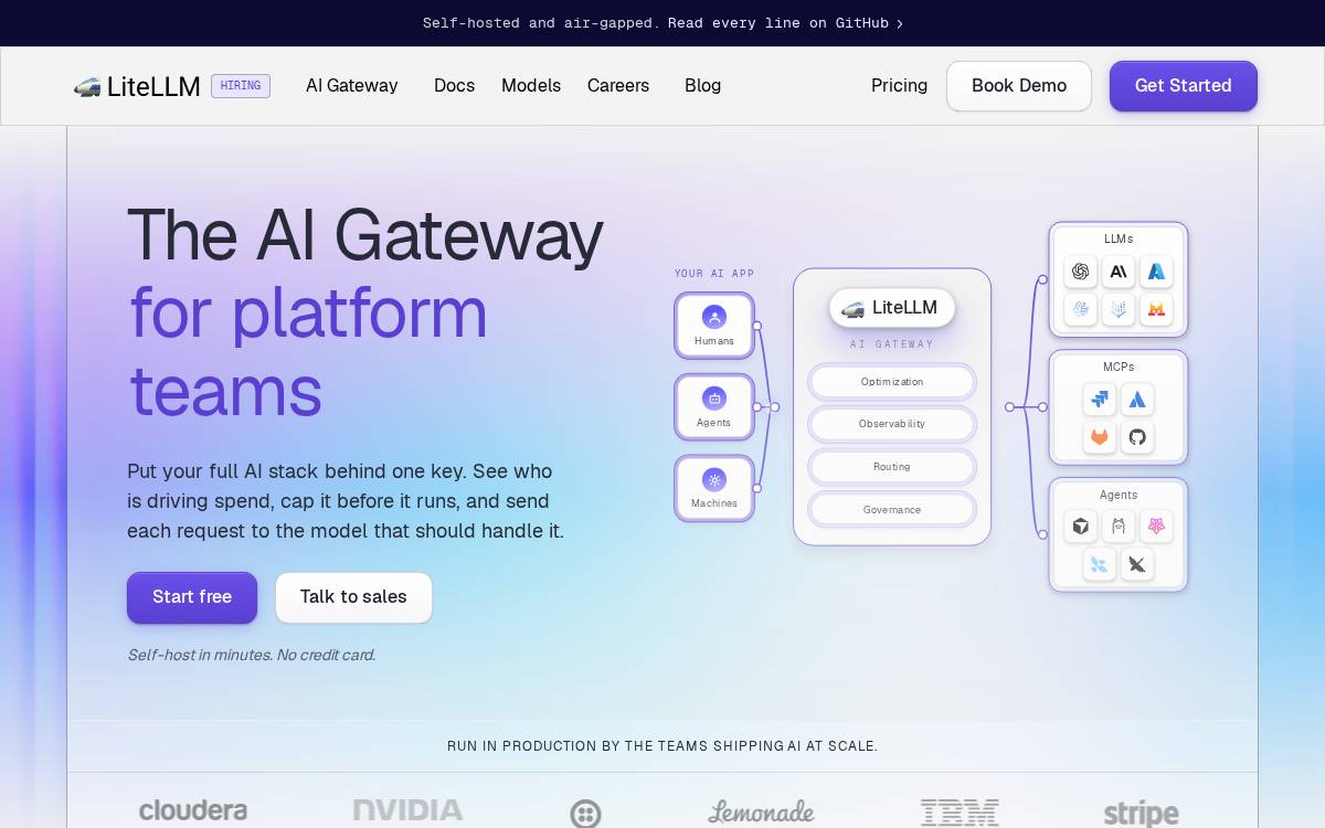 LiteLLM website preview