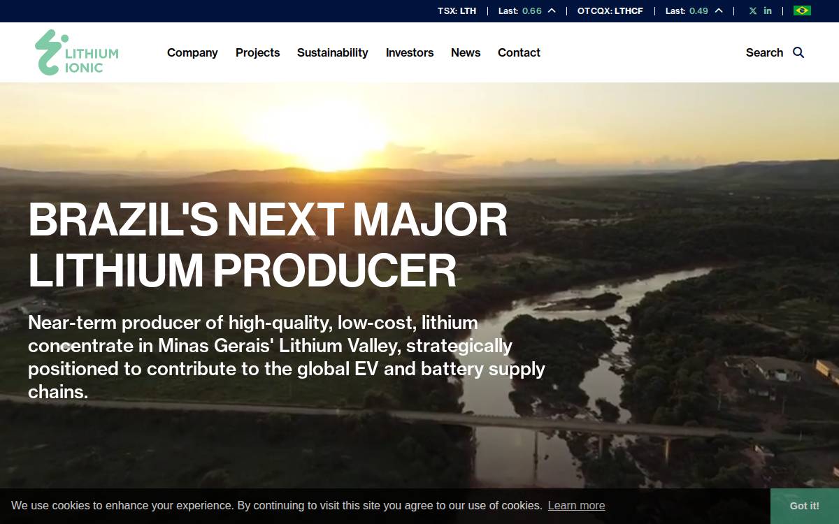 Lithium Ionic website preview