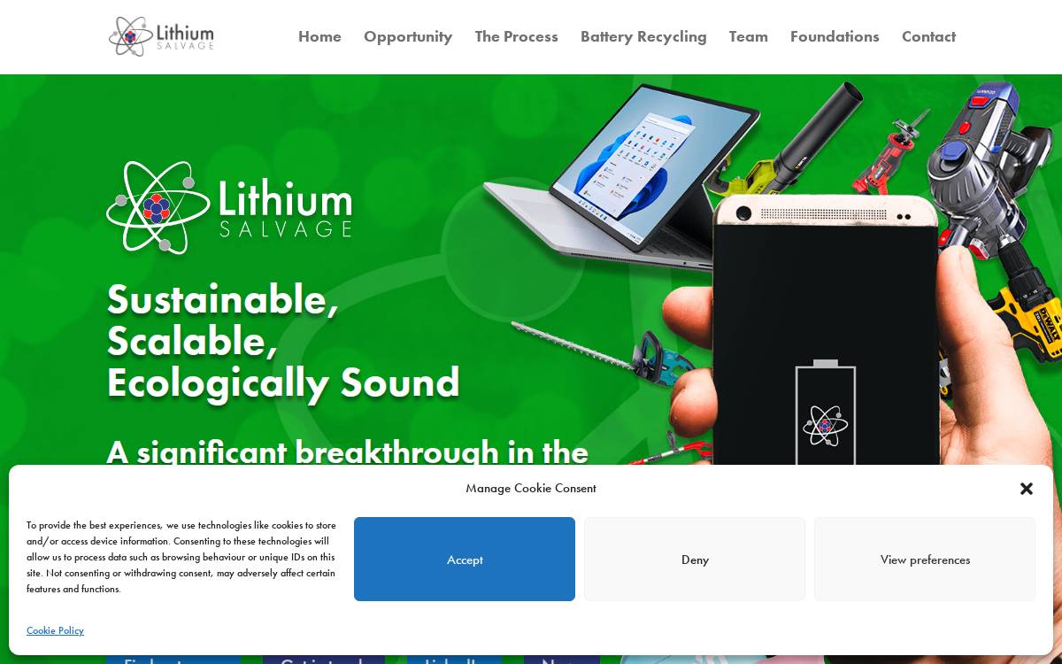 Lithium Salvage website preview