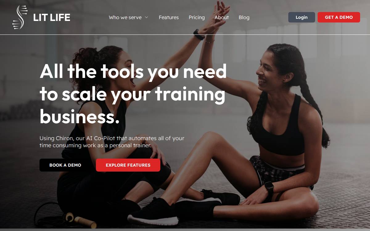 LitLife website preview
