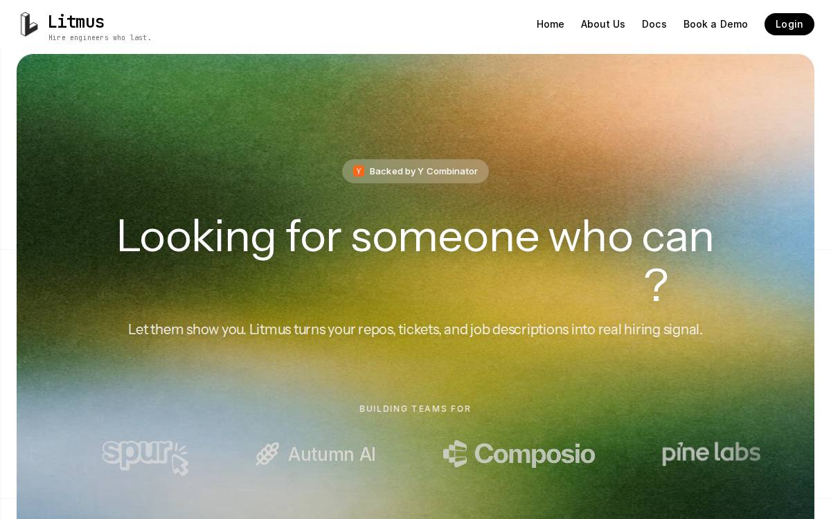 Litmus website preview