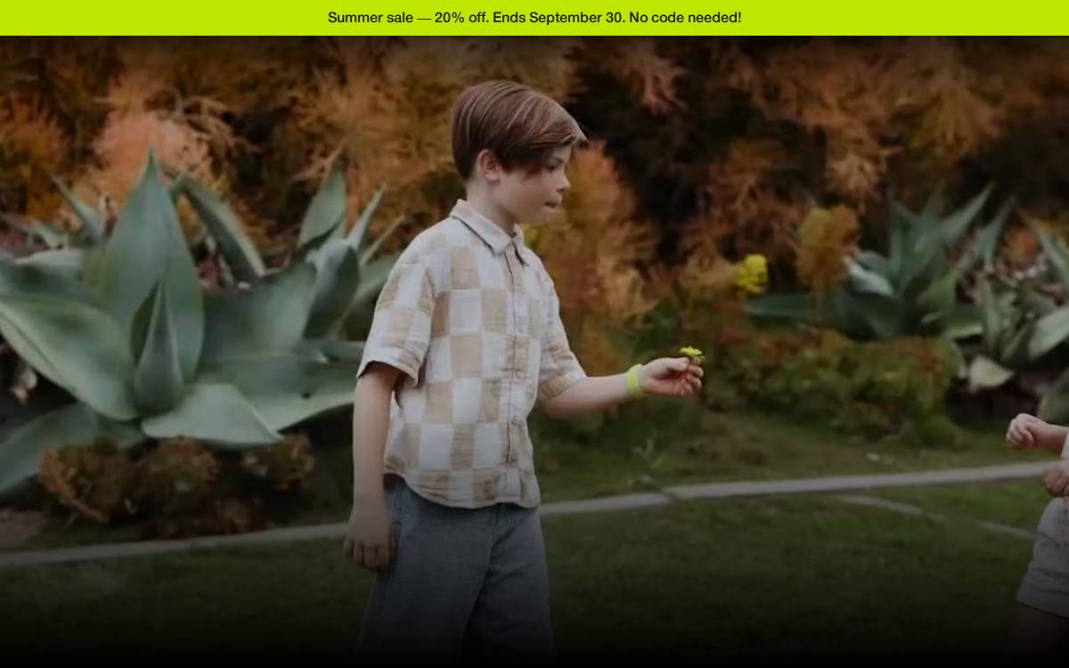 Littlebird website preview
