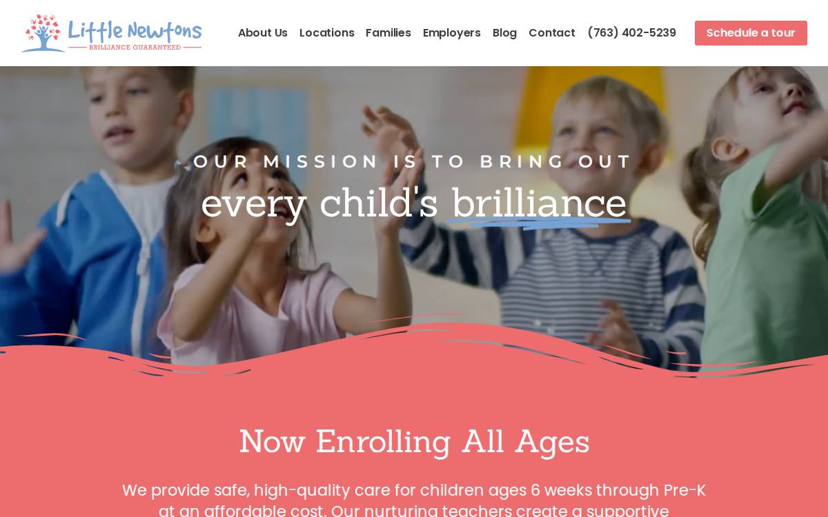 Littlenewtons website preview