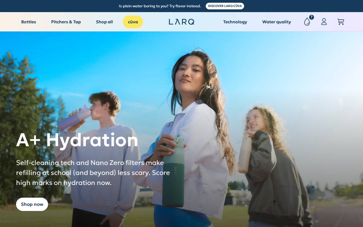 Livelarq website preview