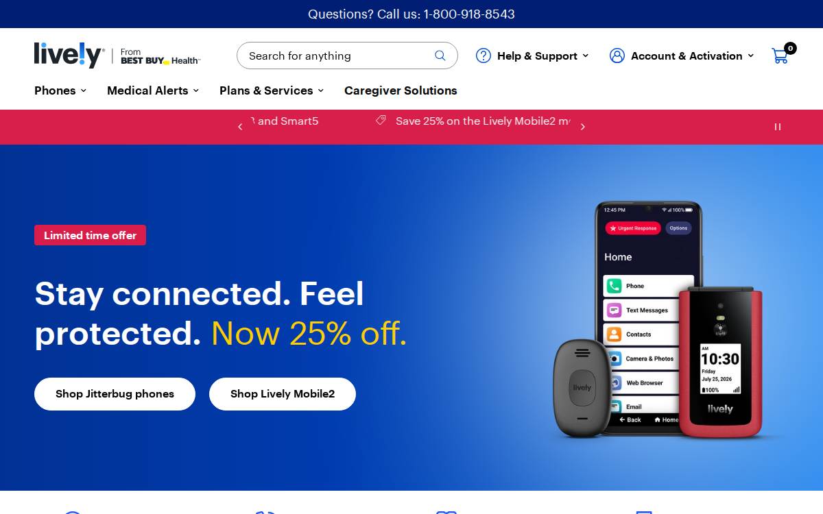 Lively website preview