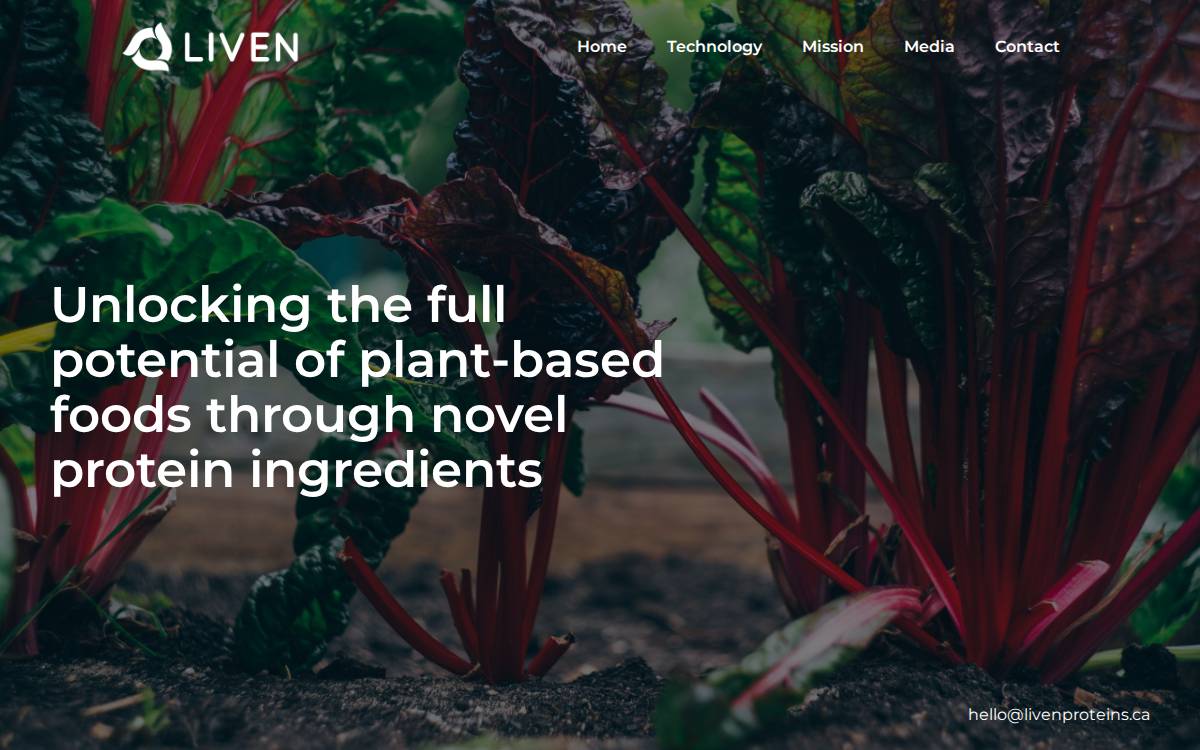 Liven Startup website preview