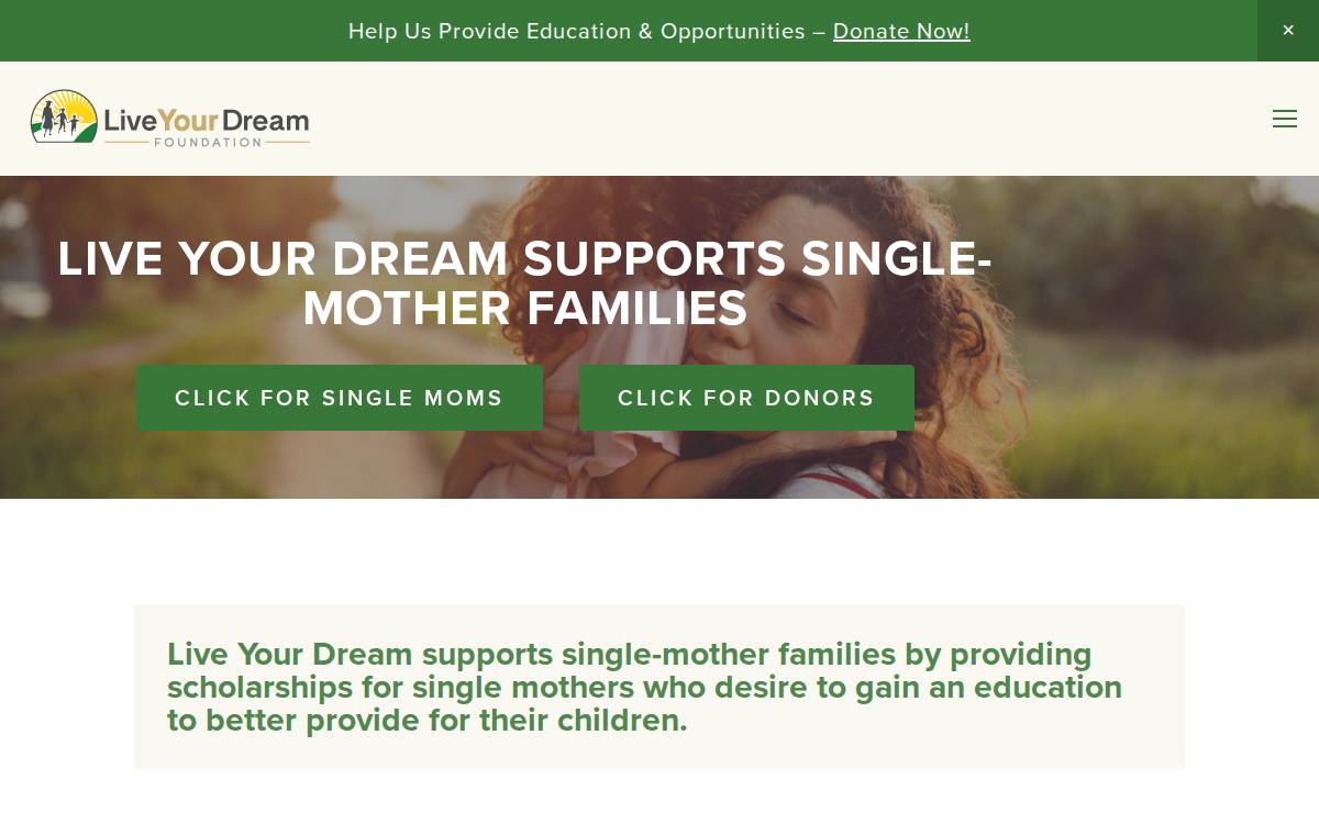Liveyourdreamfoundation website preview
