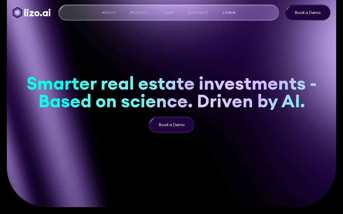 Lizo website preview