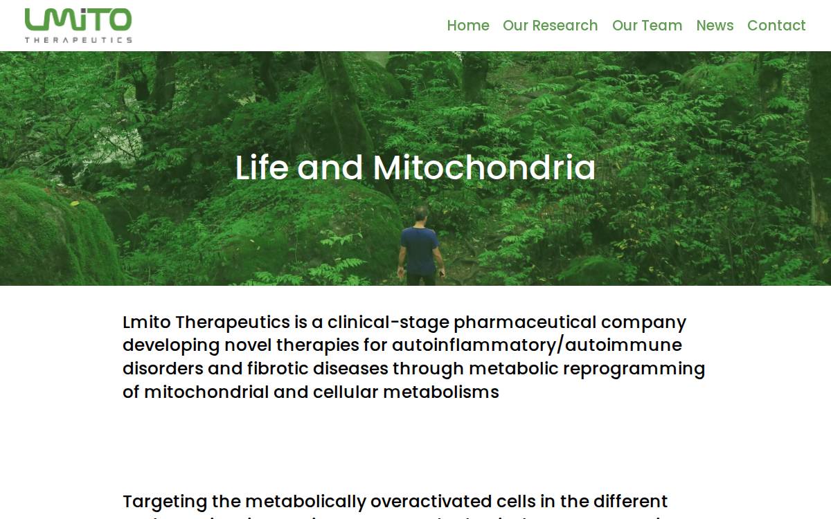 Lmito website preview