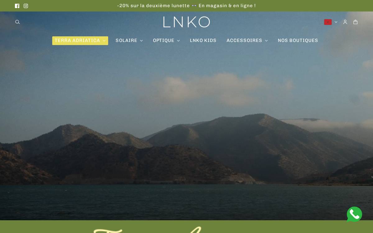 LNKO website preview