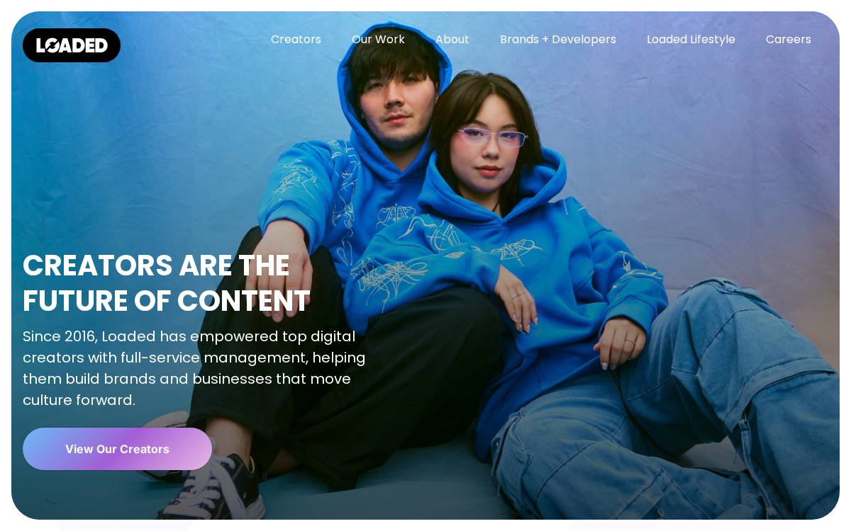 Loaded website preview