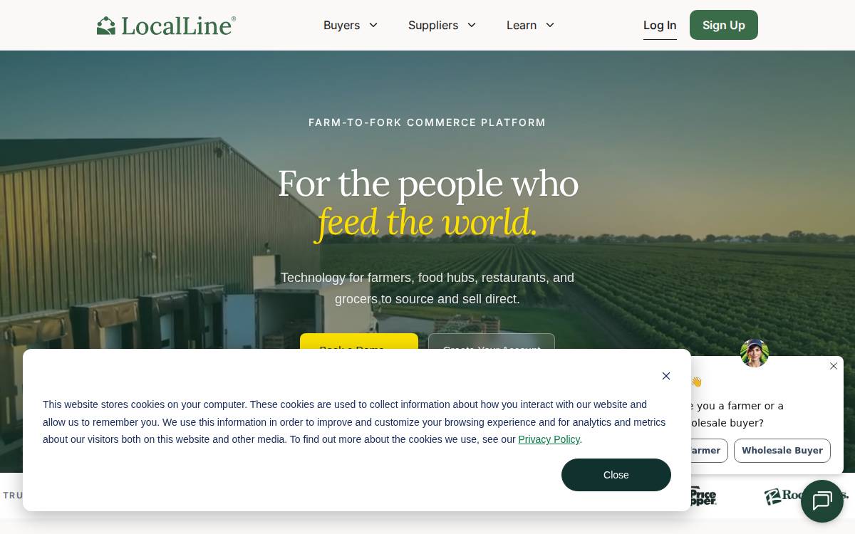 Local Line website preview