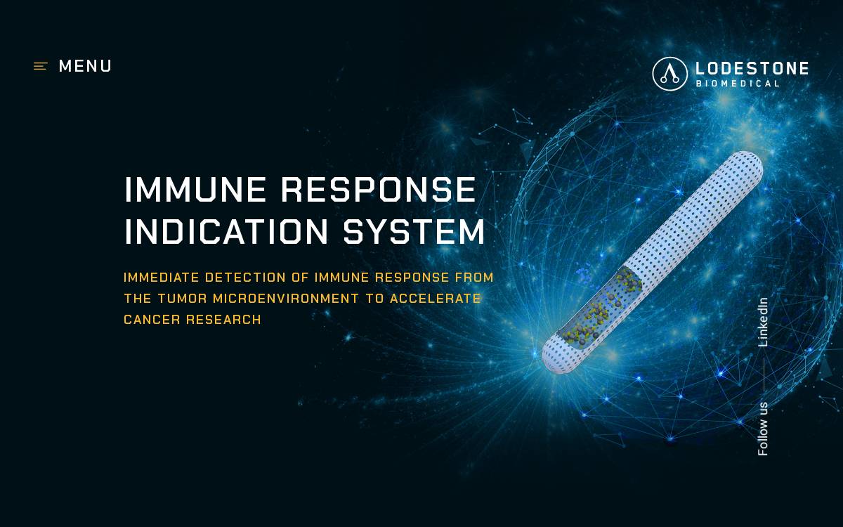 Lodestone Biomedical website preview
