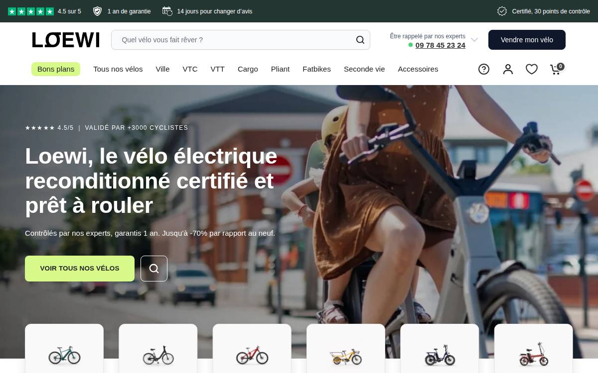 Loewi website preview
