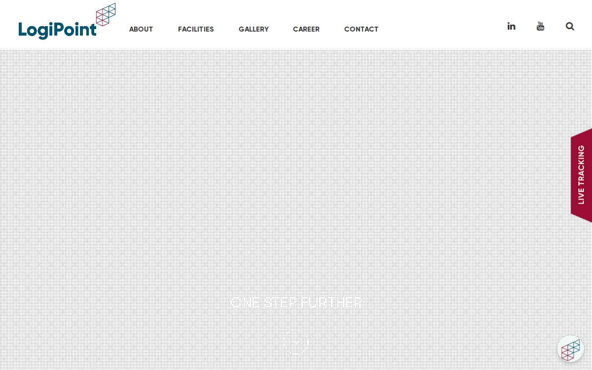 Logipoint website preview