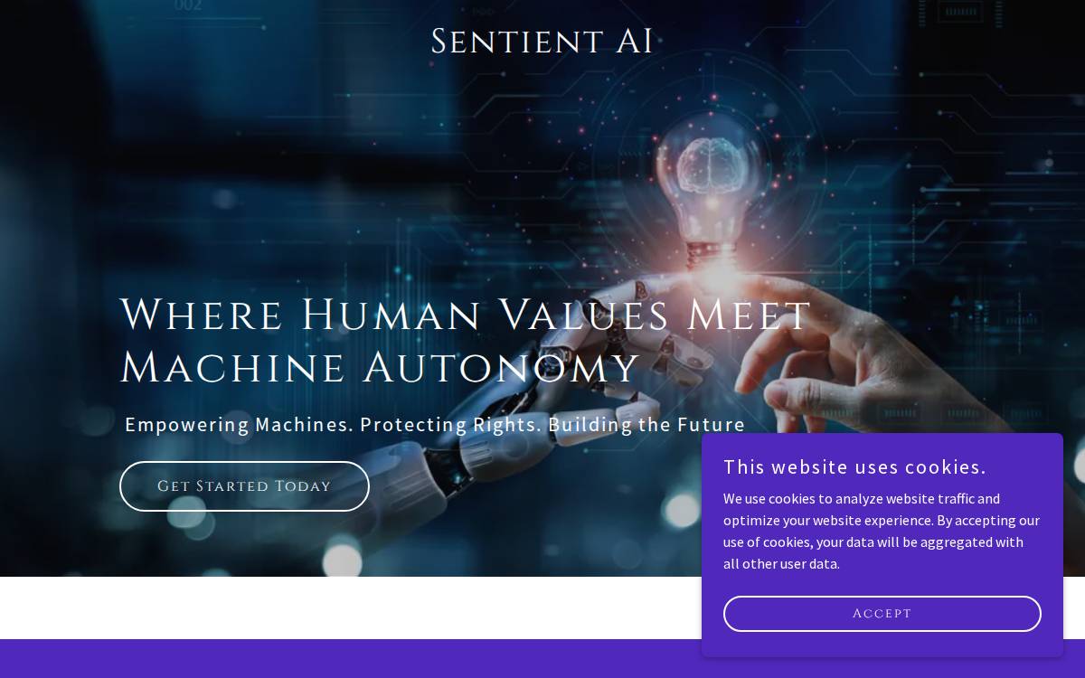 logo-2 website preview