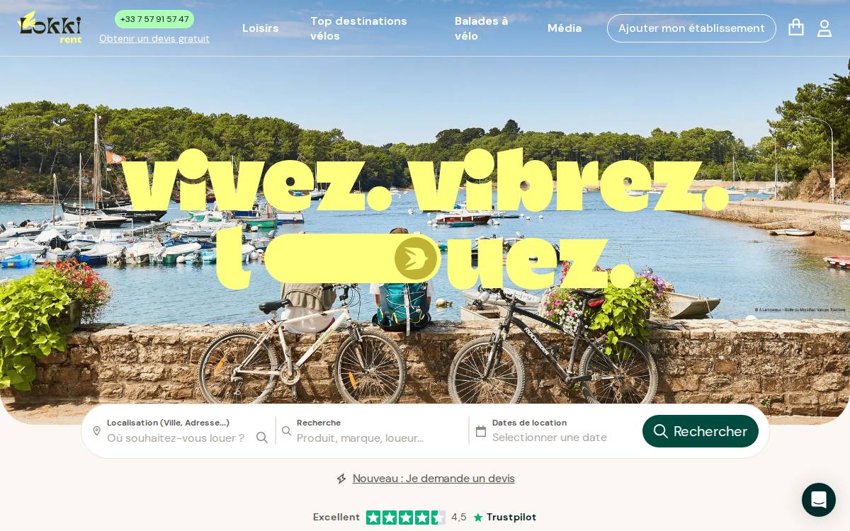 Lokki website preview