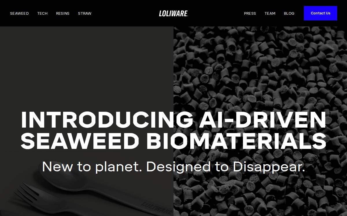 Loliware website preview