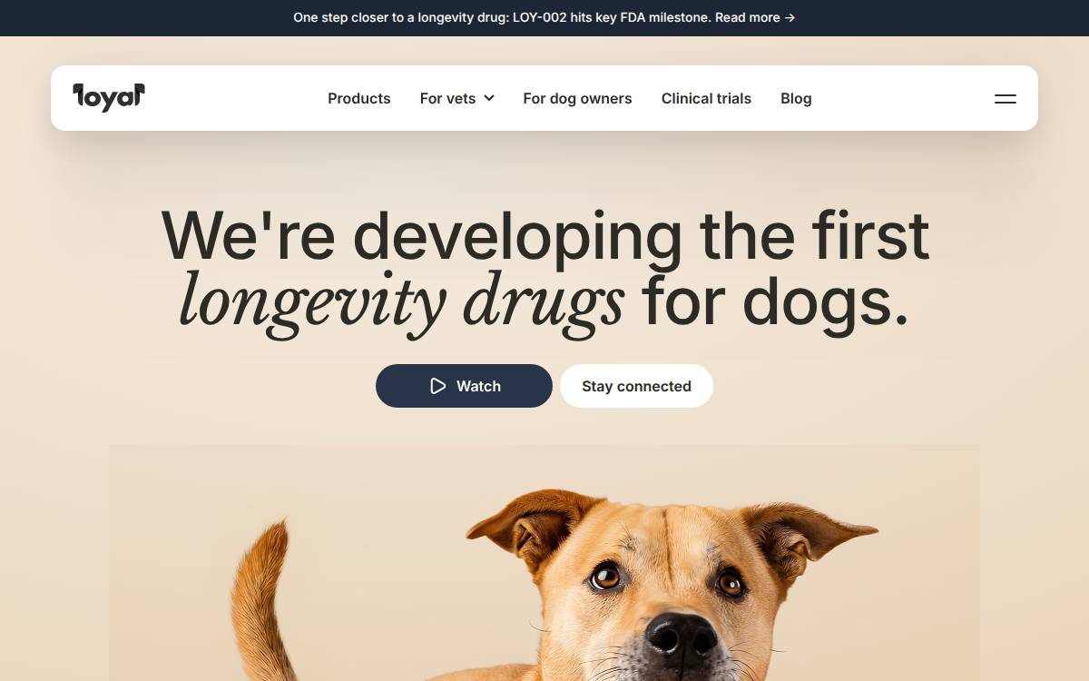Longevity Drugs for Dogs website preview
