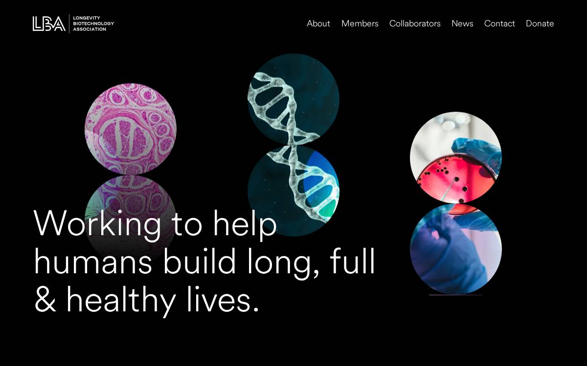 Longevitybiotech website preview