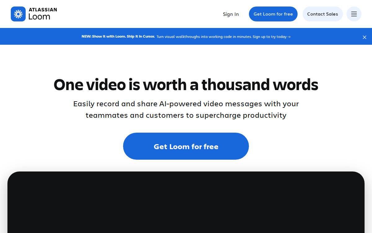 Loom website preview