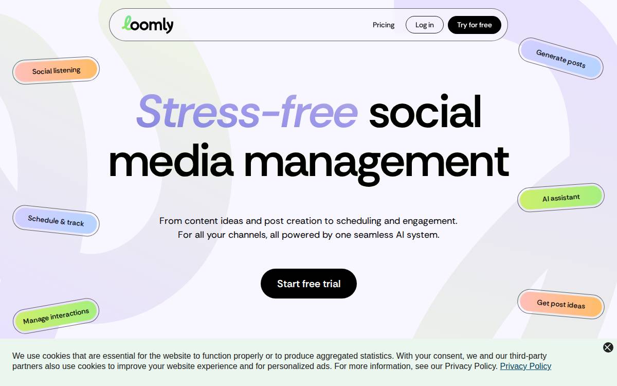 Loomly website preview