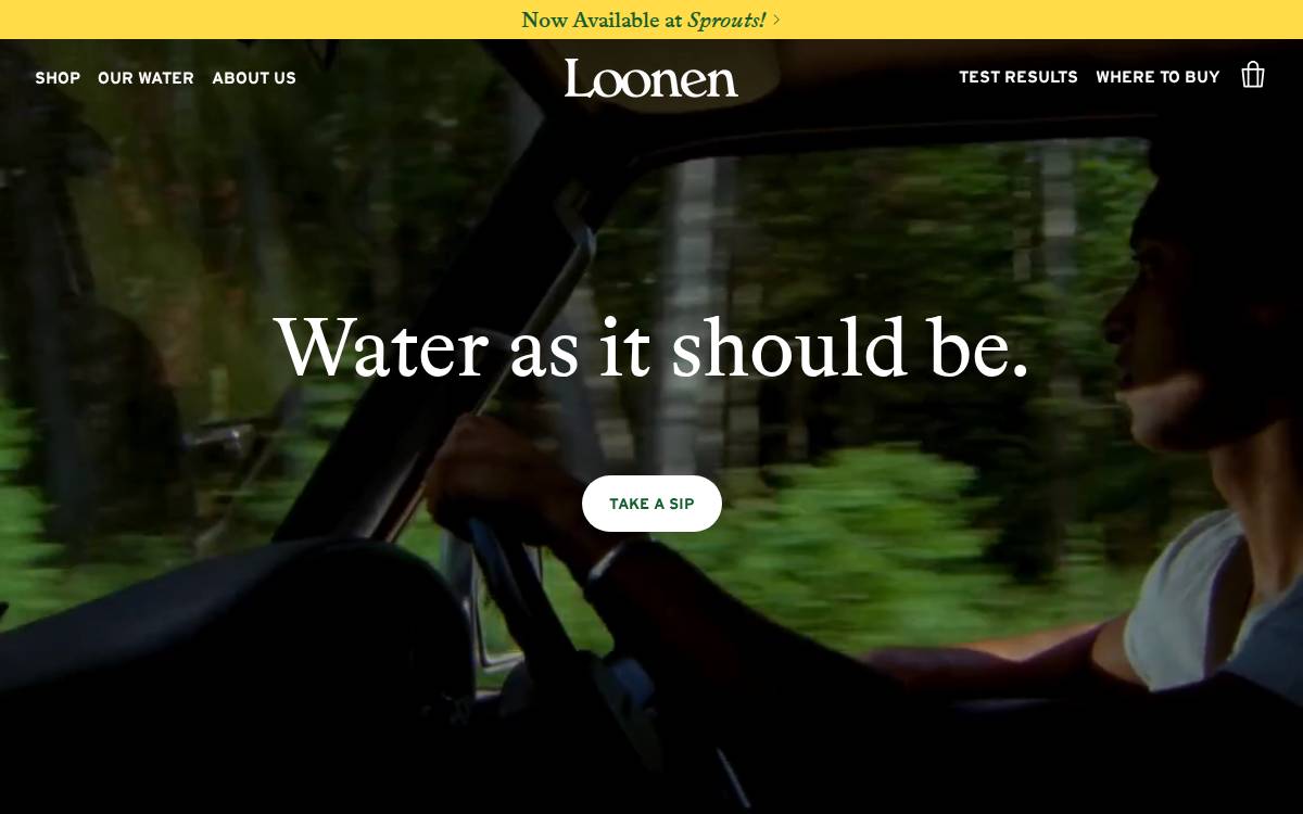 Loonen website preview